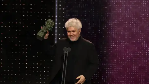 Pedro Almodóvar recogiendo uno de los Premios Goya Pedro Almodóvar recogiendo uno de los Premios Goya