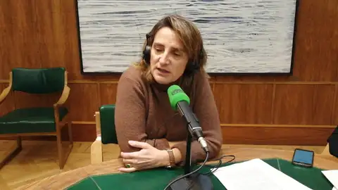 Teresa Ribera Teresa Ribera