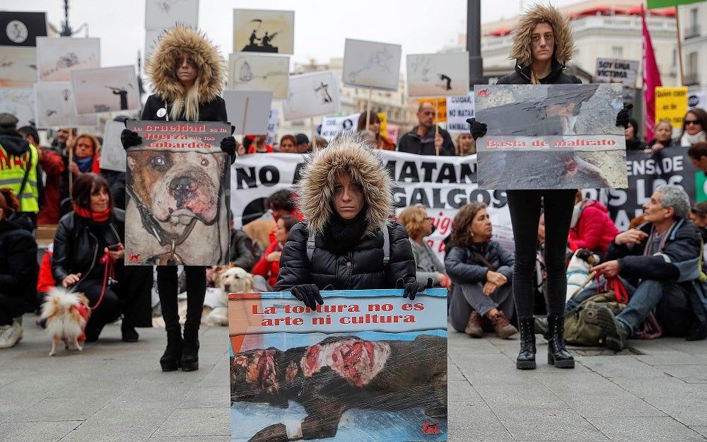 Miles de personas se manifiestan en contra de la caza Miles de personas se manifiestan en contra de la caza
