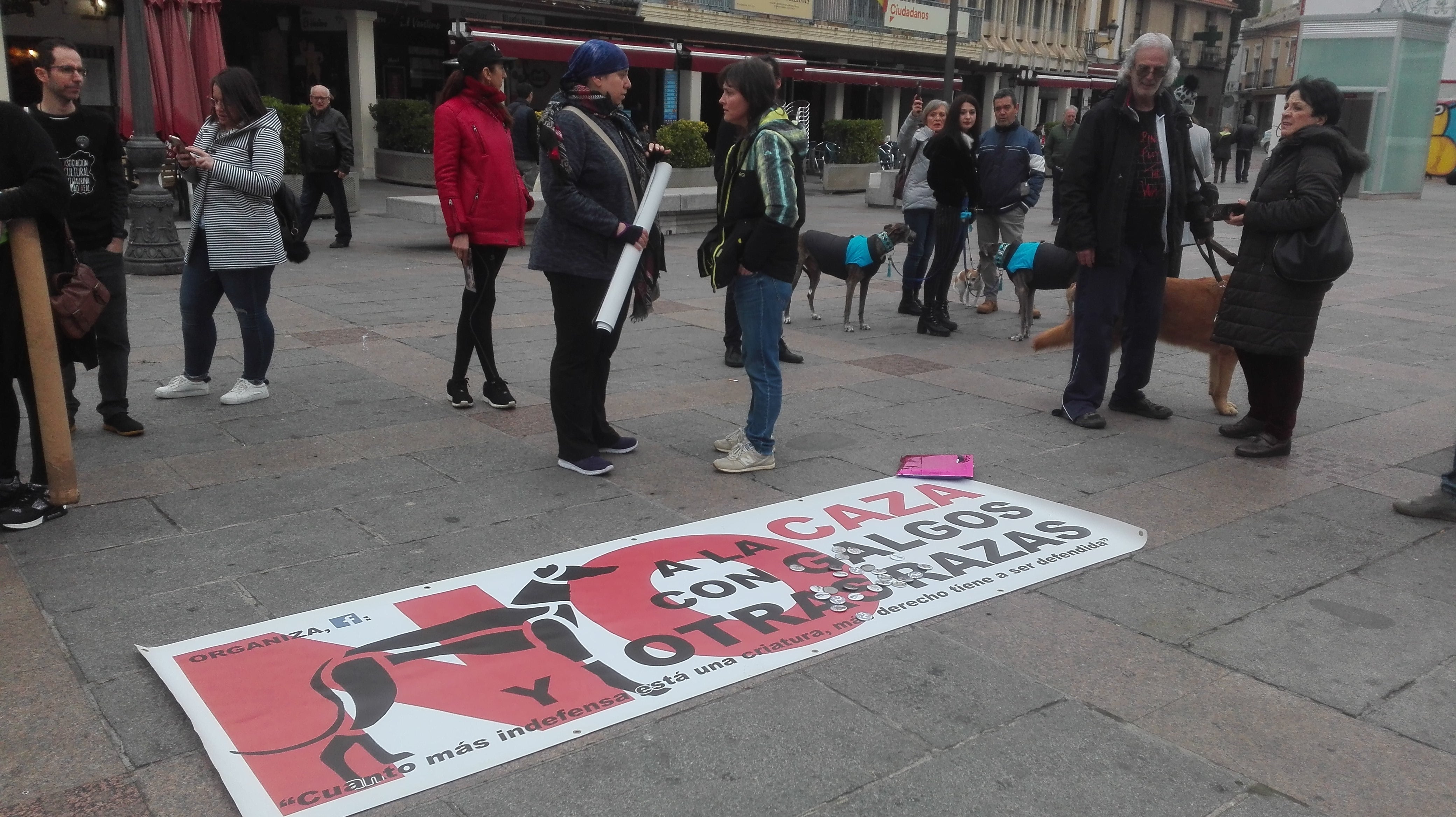 La Plataforma "No a la caza" pide en Ciudad Real una Ley que vele por los perros de caza La Plataforma "No a la caza" pide en Ciudad Real una Ley que vele por los perros de caza