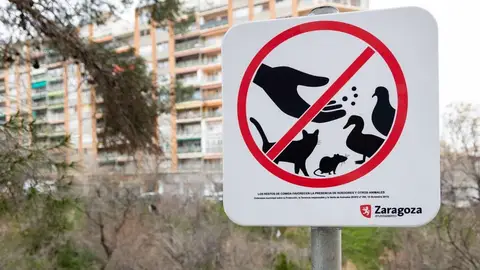 Señales que se instalado en la ciudad Señales que se instalado en la ciudad