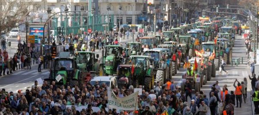 Agricultores y tractores han colapsado el centro de la ciudad de València durante la mañana. Agricultores y tractores han colapsado el centro de la ciudad de València durante la mañana.