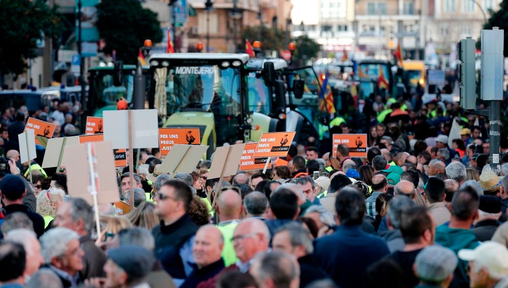 La mirada cítrica: El nombramiento de Beatriz Corredor y las nuevas movilizaciones en el campo español La mirada cítrica: El nombramiento de Beatriz Corredor y las nuevas movilizaciones en el campo español