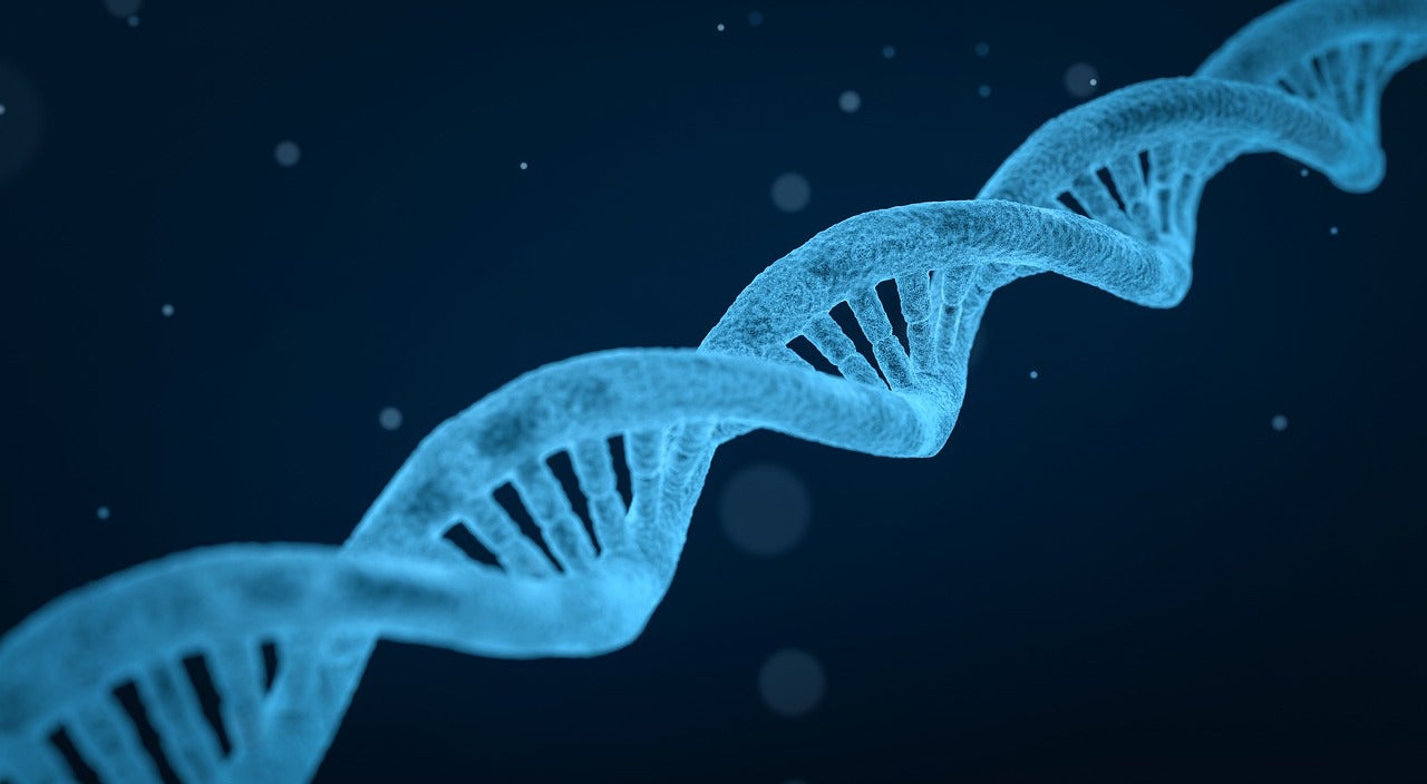 Encuentros cercanos: Secretos de la evolución Encuentros cercanos: Secretos de la evolución