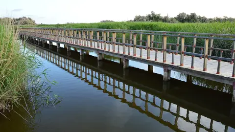 Parque Nacional de Las Tablas de Daimiel Parque Nacional de Las Tablas de Daimiel