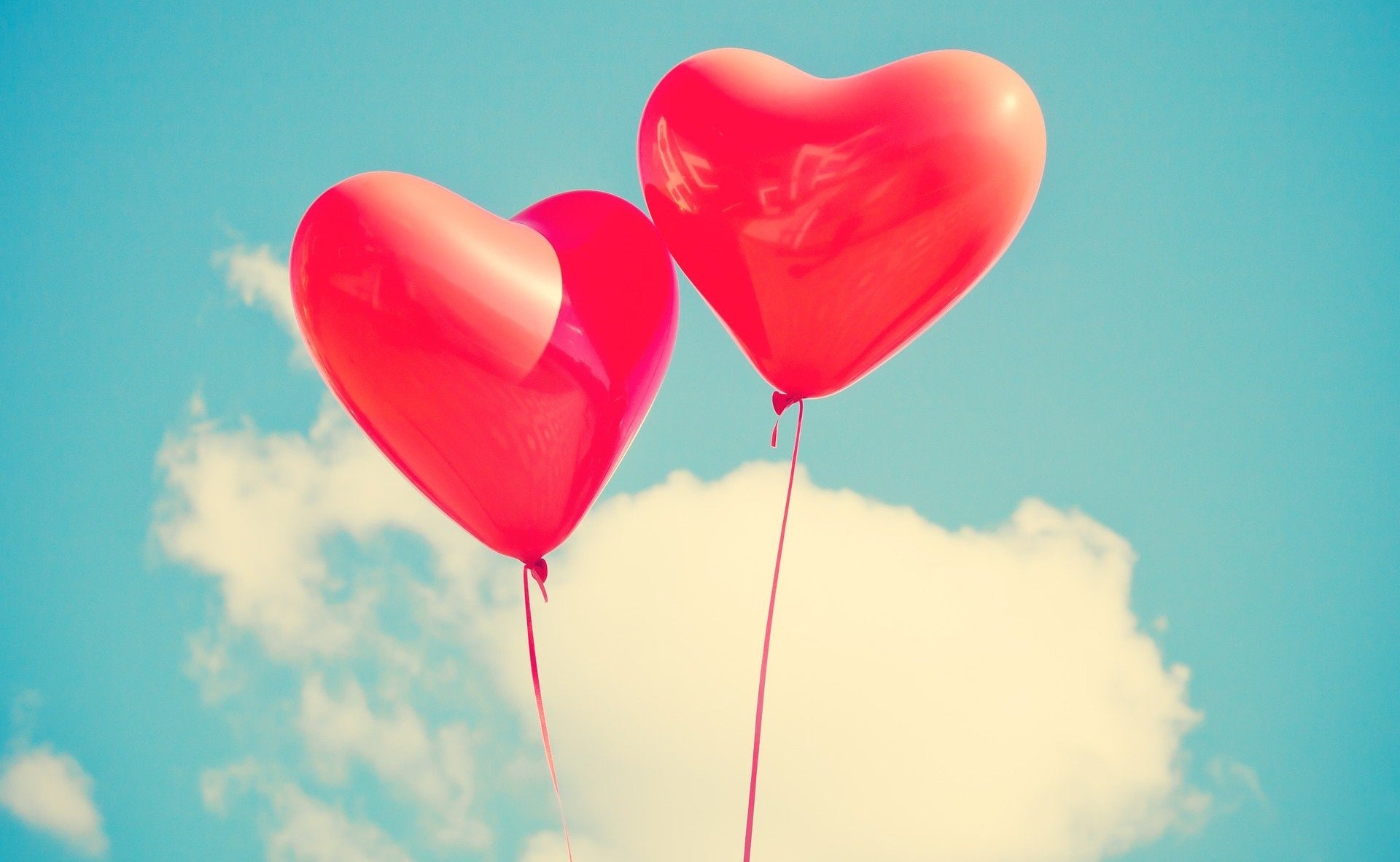 Sexo y amor, ambos siguen mecanismos poco refinados Sexo y amor, ambos siguen mecanismos poco refinados