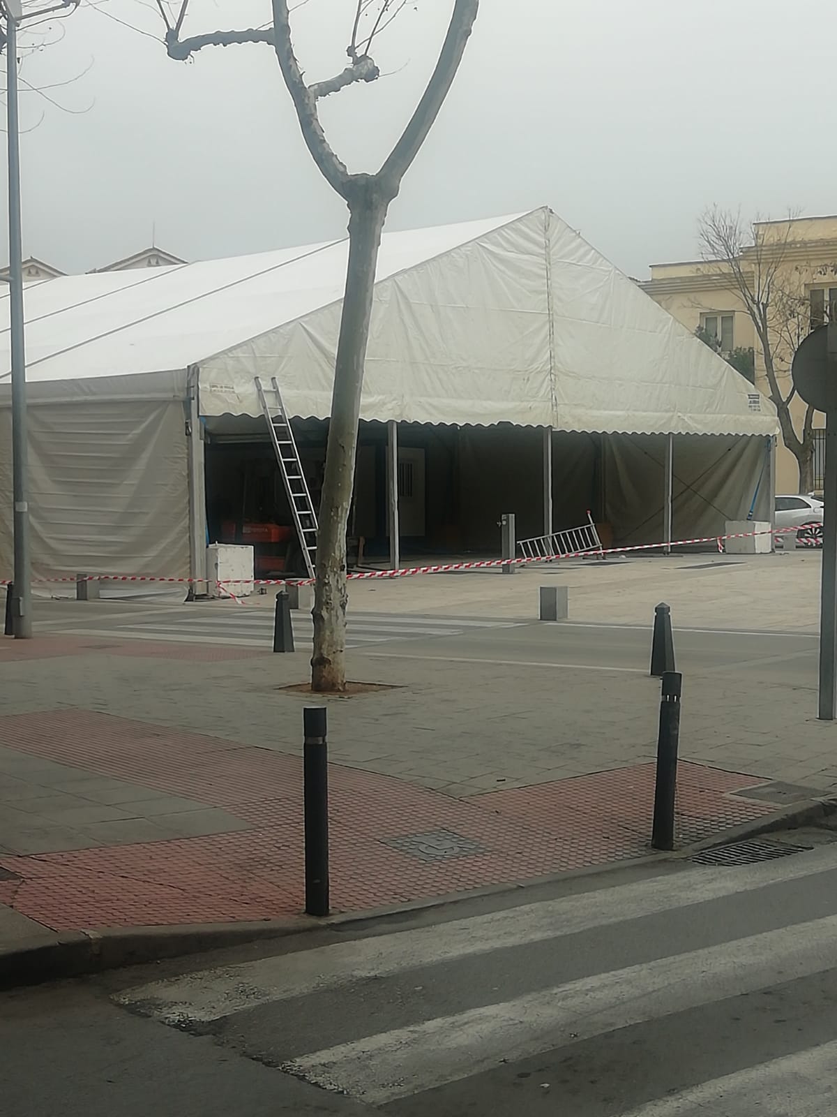 La carpa del Carnaval de Ciudad Real va tomando forma La carpa del Carnaval de Ciudad Real va tomando forma