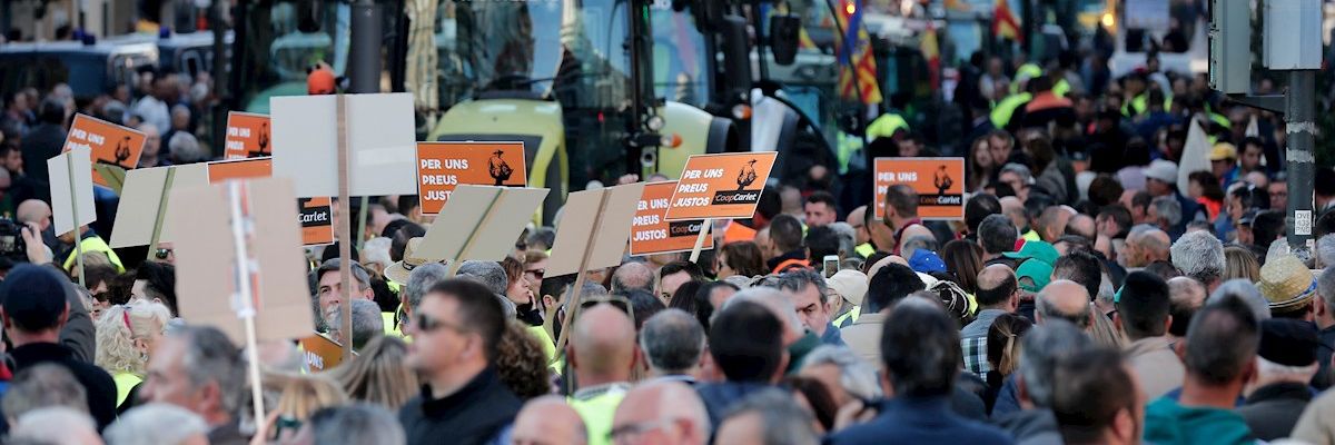 Multitudinaria tractorada en Valencia Multitudinaria tractorada en Valencia