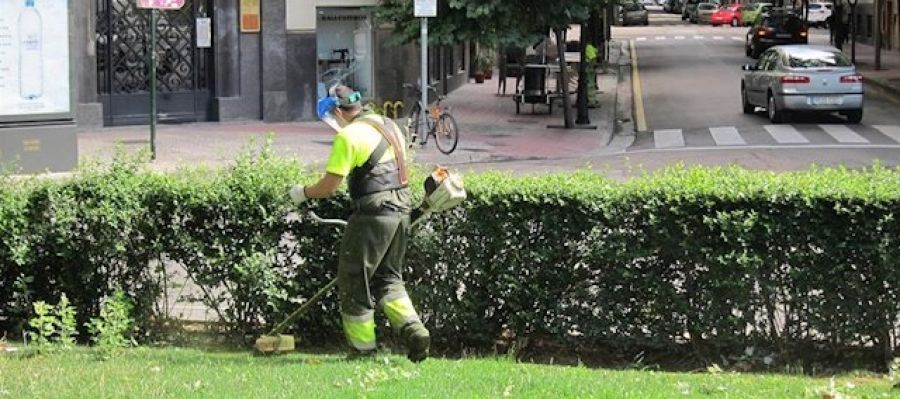 Trabajador de parques y jardines Trabajador de parques y jardines