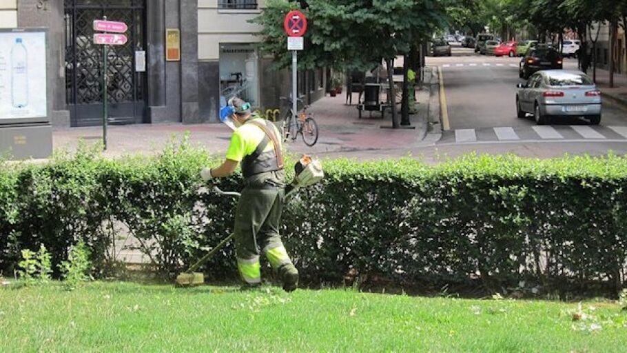 Trabajador de parques y jardines