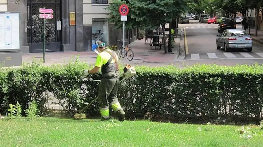 Trabajador de parques y jardines Trabajador de parques y jardines