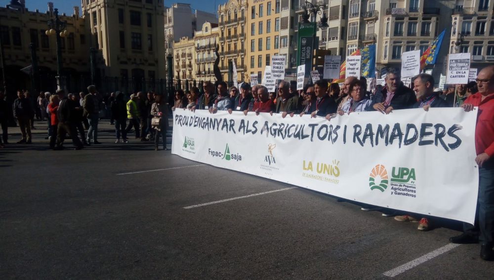 Manifestación en Valencia de los agricultores.