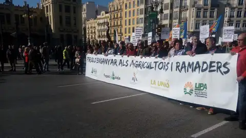 Manifestación en Valencia de los agricultores. Manifestación en Valencia de los agricultores.