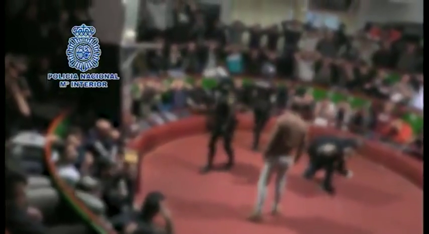 La policía interviene una pelea de gallos en Málaga La policía interviene una pelea de gallos en Málaga