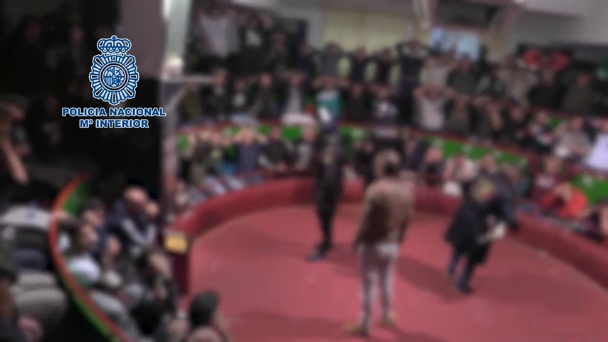 La Policía desmantela una pelea de gallos con droga y 200 participantes en Cádiz La Policía desmantela una pelea de gallos con droga y 200 participantes en Cádiz