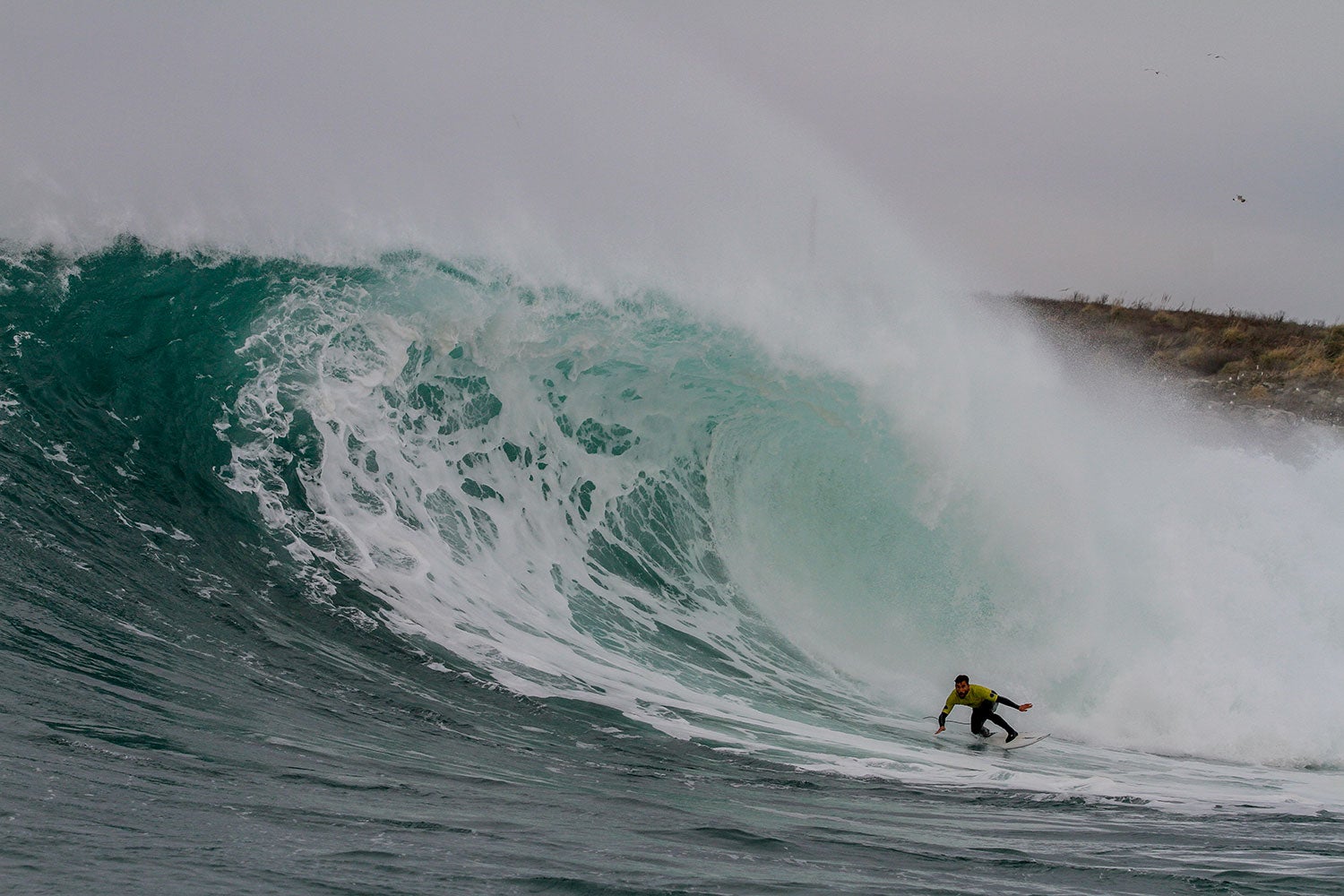 Más de uno Cantabria. Deporte 17/02/2020 Más de uno Cantabria. Deporte 17/02/2020