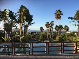 Más de Uno Marbella 12.30, lunes 17 de febrero de 2020 Más de Uno Marbella 12.30, lunes 17 de febrero de 2020