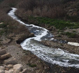 Espuma en el río Vinalopó a su paso por Novelda. Espuma en el río Vinalopó a su paso por Novelda.