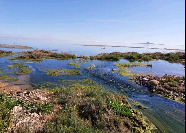 El Ministerio de Transición Ecológica es contrario a seguir en la dinámica de actuar a final de tubería en el Mar Menor El Ministerio de Transición Ecológica es contrario a seguir en la dinámica de actuar a final de tubería en el Mar Menor