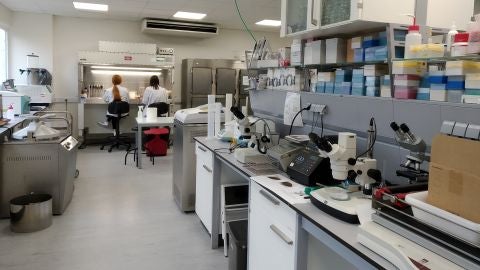 IMIDRA en Alcal&aacute; de Henares