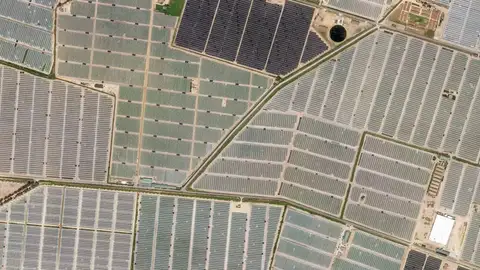 Campos de cultivo en Almonte (Huelva). Huelva