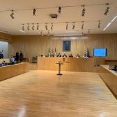 Pleno Diputación