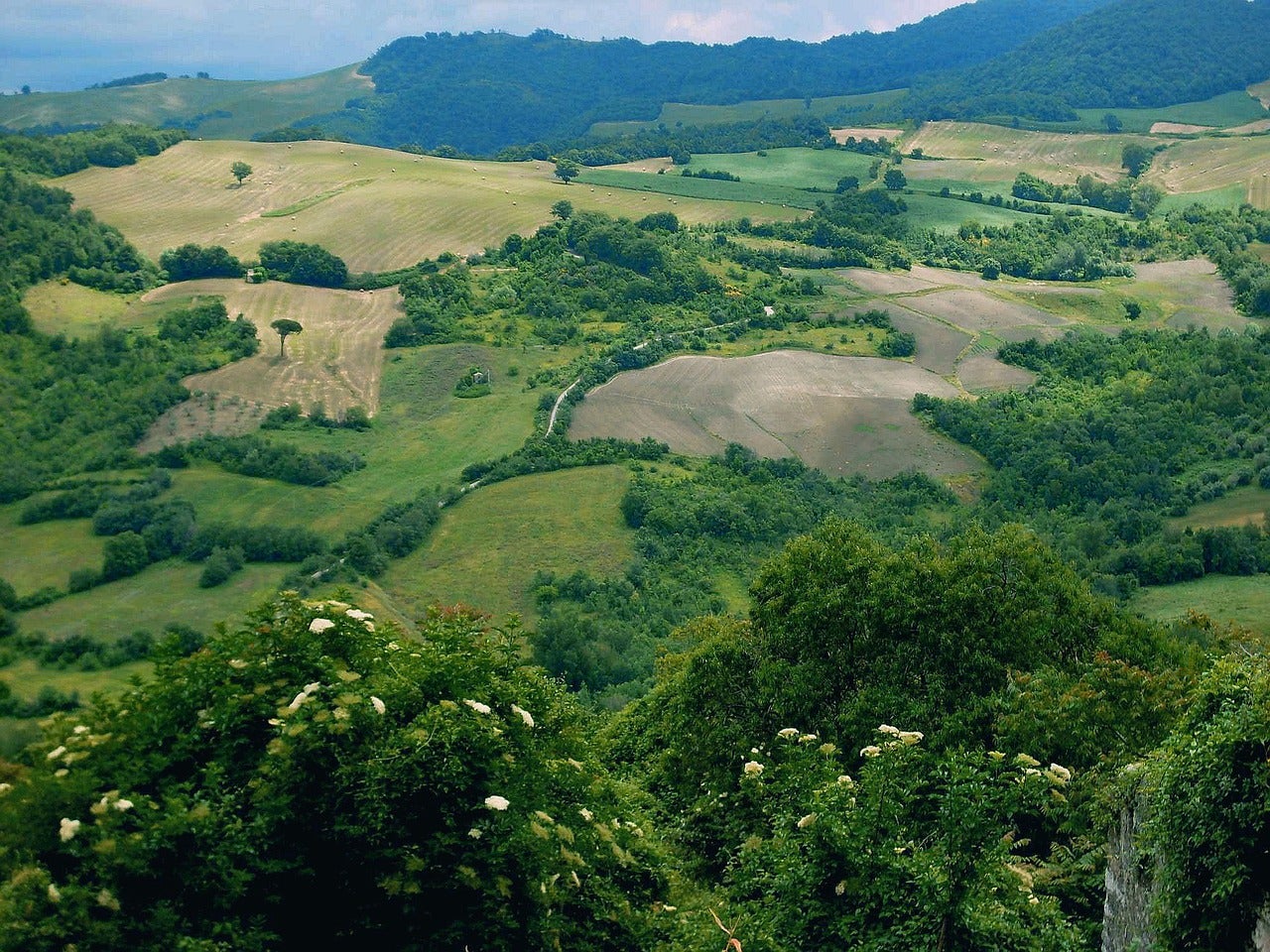 Historia de una conspiración llamada Molise Historia de una conspiración llamada Molise