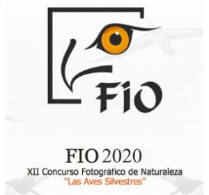 fotofio 2020 fotofio 2020
