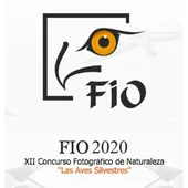fotofio 2020 fotofio 2020