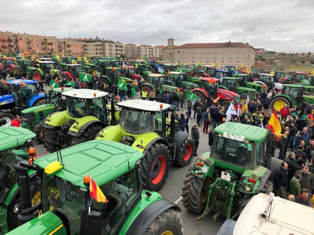 Los agricultores de la provincia se suman a la movilización nacional con una tractorada entre Novelda y Monforte Los agricultores de la provincia se suman a la movilización nacional con una tractorada entre Novelda y Monforte