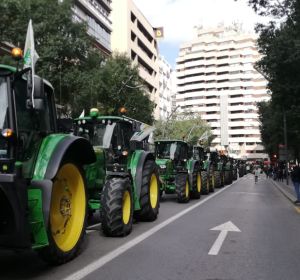 Tractorada en Murcia Tractorada en Murcia