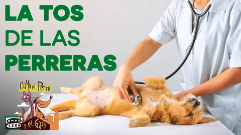 La tos de las perreras La tos de las perreras