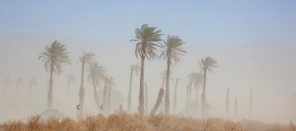 La calima y los fuertes vientos mantienen en alerta a Canarias La calima y los fuertes vientos mantienen en alerta a Canarias
