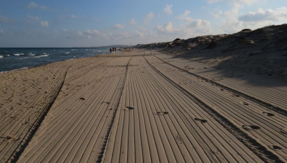 Playa de La Marina de Elche tras el paso de las máquinas de limpieza.