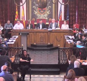 Pleno municipal de Elche del mes de febrero. Pleno municipal de Elche del mes de febrero.