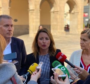 La portavoz del PP en el Ayuntamiento de Castellón, Begoña Carrasco. La portavoz del PP en el Ayuntamiento de Castellón, Begoña Carrasco.