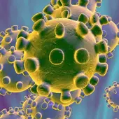 coronavirus coronavirus