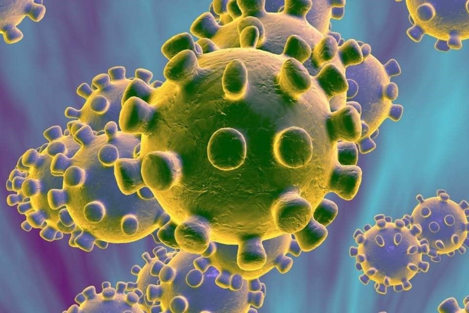 Valencianistas que estuvieron en Milán en observación por el coronavirus Valencianistas que estuvieron en Milán en observación por el coronavirus