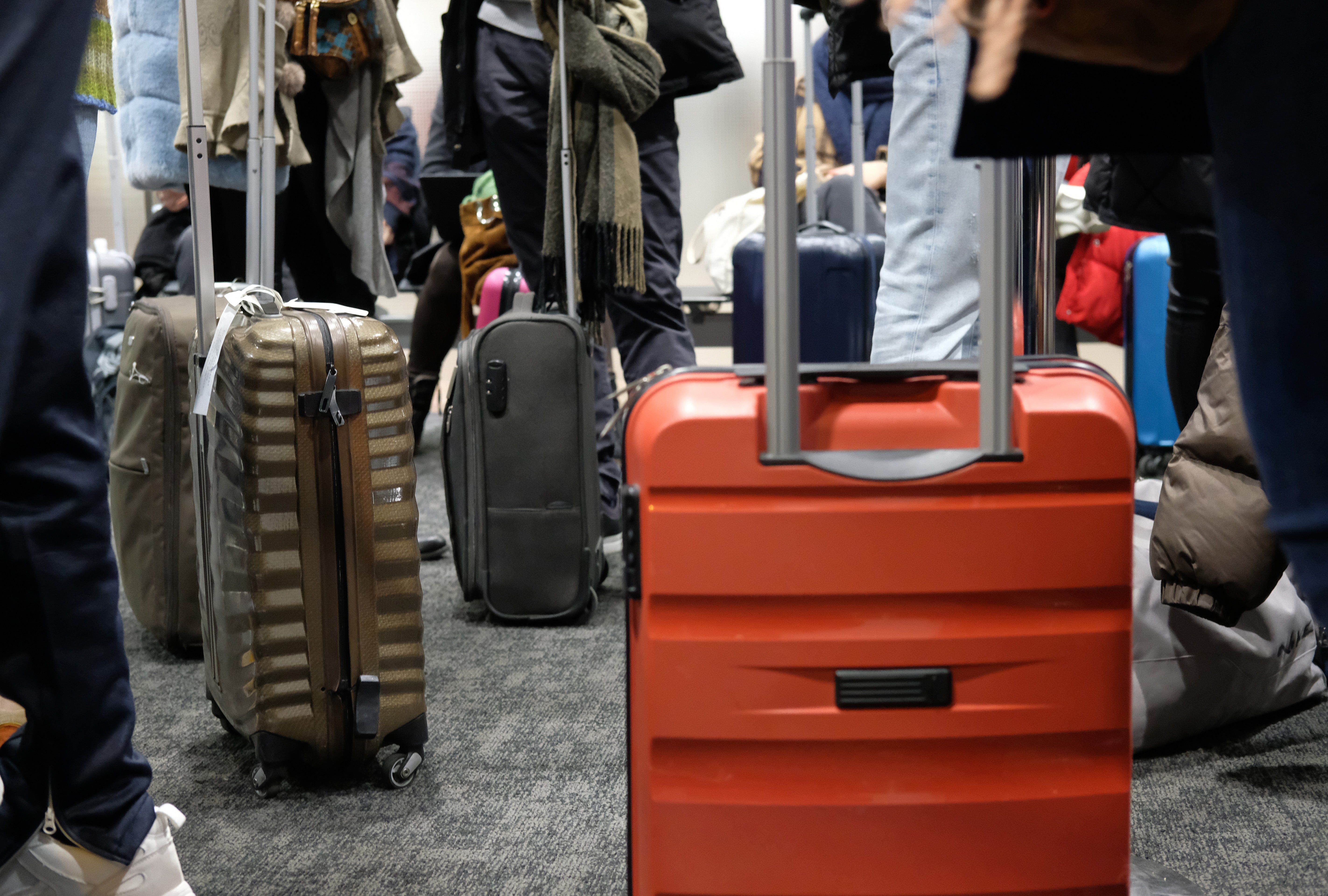 Castellón cancela la totalidad de sus viajes Castellón cancela la totalidad de sus viajes