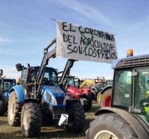 Cientos de tractores han participado en las concentraciones de los agricultores de Ciudad Real Cientos de tractores han participado en las concentraciones de los agricultores de Ciudad Real