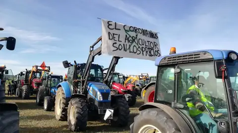 Cientos de tractores han participado en las concentraciones de los agricultores de Ciudad Real Cientos de tractores han participado en las concentraciones de los agricultores de Ciudad Real