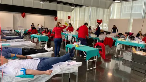 Elche es una de las ciudades con más donantes de toda la Comunidad Valenciana. Elche es una de las ciudades con más donantes de toda la Comunidad Valenciana.