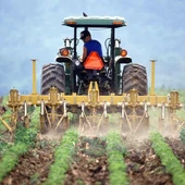 Tractor Tractor