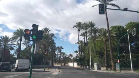 Avenida Candalix de Elche. Avenida Candalix de Elche.