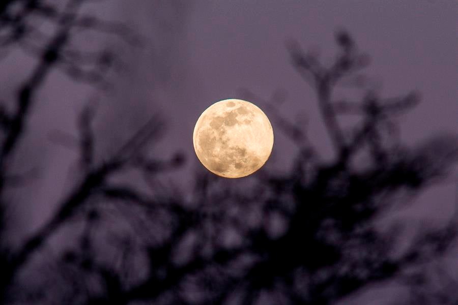 El Círculo Secreto: Los enigmas de la Luna El Círculo Secreto: Los enigmas de la Luna
