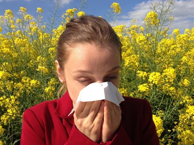 Las vacunas, el único tratamiento para la alergia al polen de los niños Las vacunas, el único tratamiento para la alergia al polen de los niños