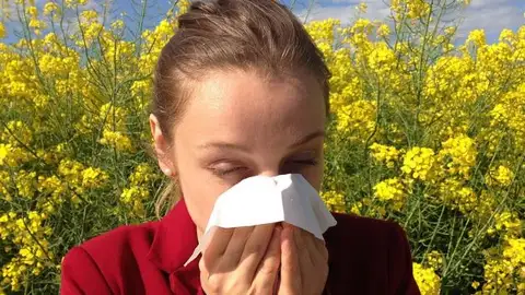 La primavera llega con un nivel de riesgo moderado de polinización en buenas manos