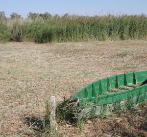 La Junta apuesta por los pozos se recarga para inundar Las Tablas La Junta apuesta por los pozos se recarga para inundar Las Tablas
