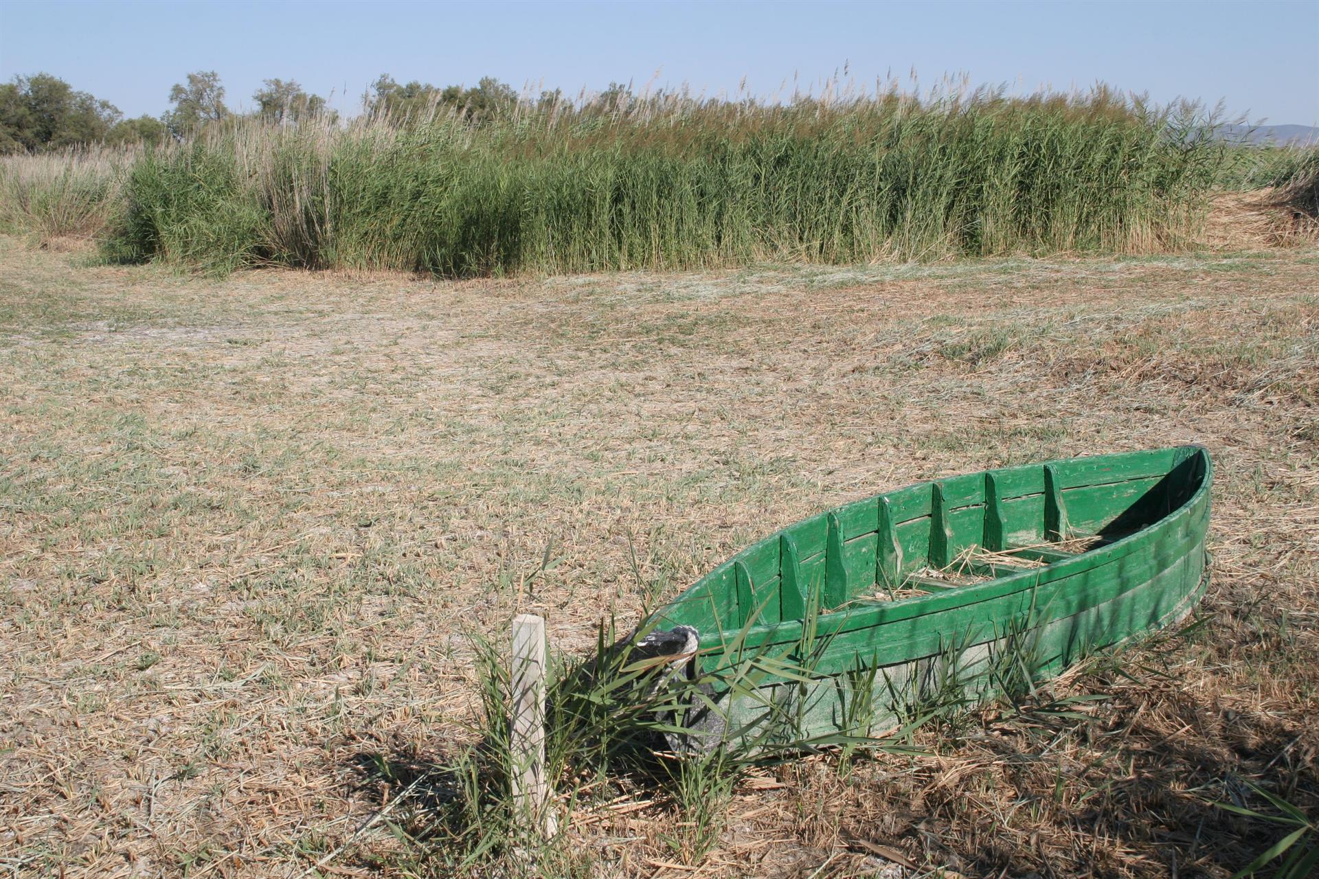 La Junta apuesta por los pozos de recarga para encharcar las Tablas de Daimiel y descarta el trasvase La Junta apuesta por los pozos de recarga para encharcar las Tablas de Daimiel y descarta el trasvase
