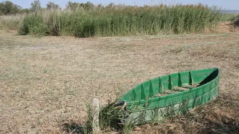 La Junta apuesta por los pozos se recarga para inundar Las Tablas La Junta apuesta por los pozos se recarga para inundar Las Tablas